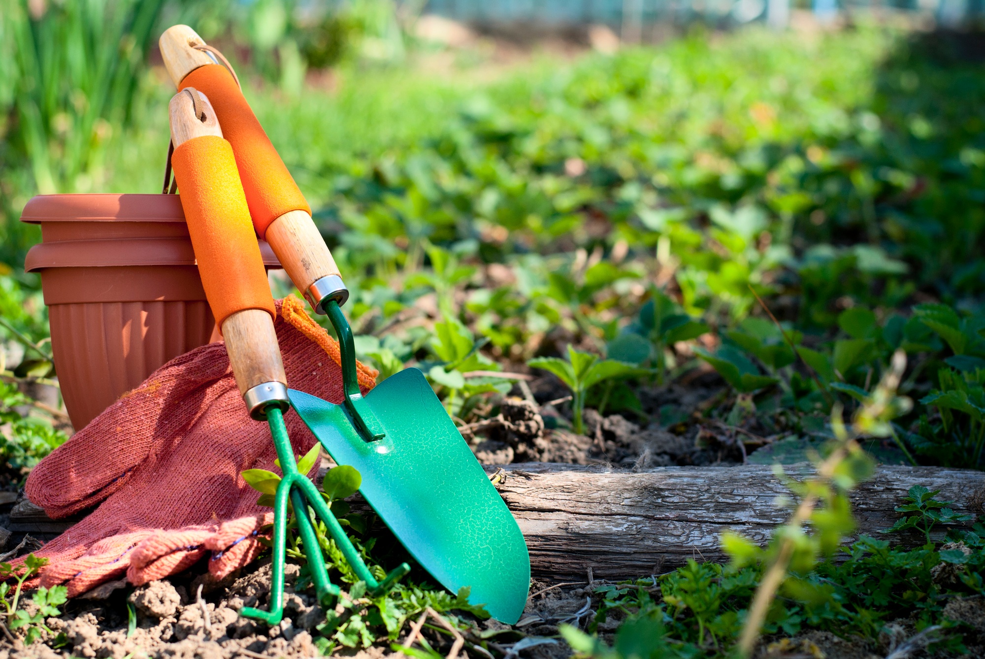 garden tools